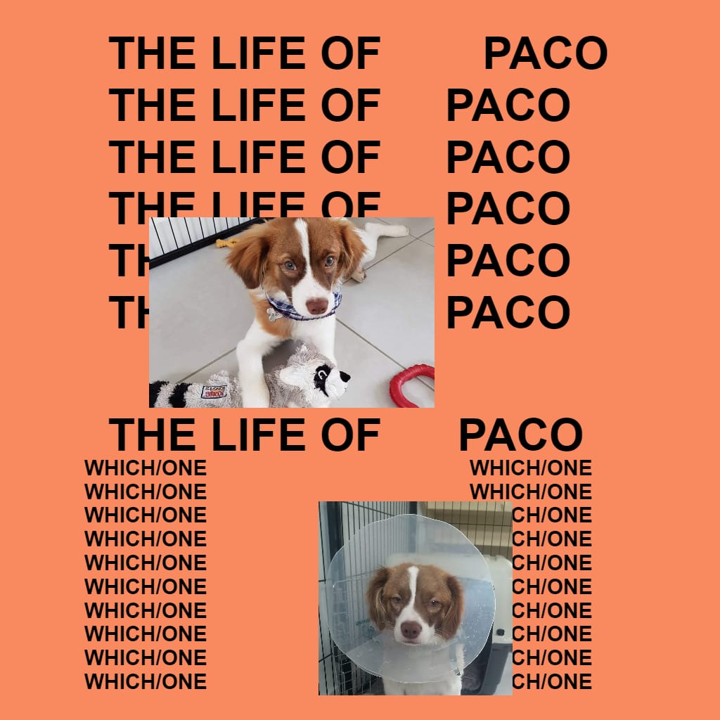 THE LIFE OF PACO